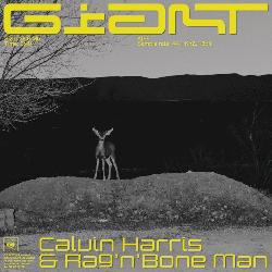 Calvin Harris & Rag'N Bone Man - Giant