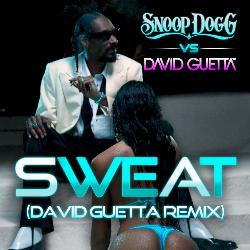 David Guetta & Snoop Dogg - Sweat