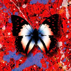 Ed Sheeran - 2step