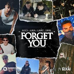 Lumix & Gabry Ponte & Alida - Forget You