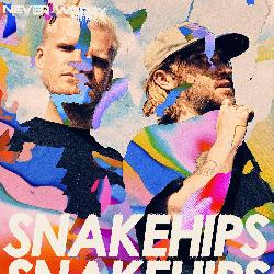 Snakehips - Sometimes