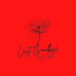 Lily B - Last Goodbye