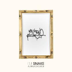Dj Snake & AlunaGeorge - You Know You Like It