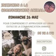 Stage initiation à la communication animale à Bloye