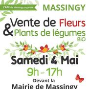 Vente de fleurs et plants de légumes bio à Massingy