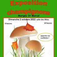 Exposition de champignons à Marigny Saint Marcel
