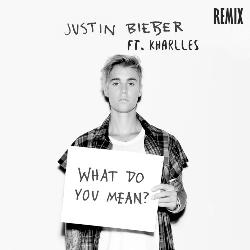 Justin Bieber - What Do You Mean