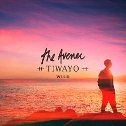The Avener - Wild