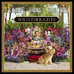 Dj Khaled & Rihanna - Wild Toughts