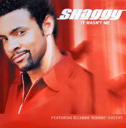 Shaggy - It Wasn't Me