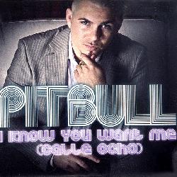 Pitbull - I Know You Want Me (Calle Ocho)