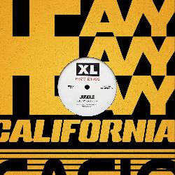 Jungle - Heavy, California