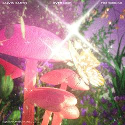 Calvin Harris & The Weeknd - Over Now