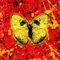 Ed Sheeran - Shivers