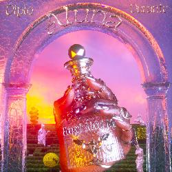 Aluna & Diplo - Forget About Me