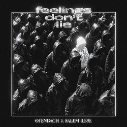 Ofenbach & salem ilese - feelings don't lie
