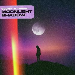 Sound Of Legend - Moonlight Shadow