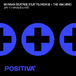 Morgan Seatree - Say My Name (Florence + the Machine Remix)
