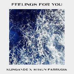 Klingande & Shaun Farrugia - Feelings For You