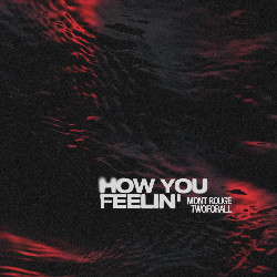 Mont Rouge & TwoForAll - How You Feelin'
