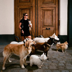 Louane - Chiens