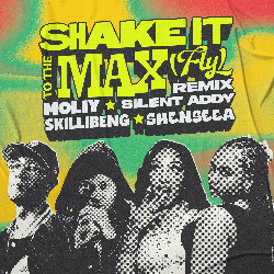 Moliy & Silent Addy & Skillibeng & Shenseea - Shake It To The Max (FLY) (Remix)