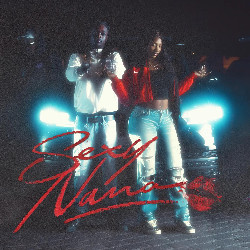 Aya Nakamura & La Rvfleuze - Sexy Nana