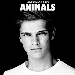 Martin Garrix - Animals