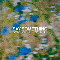Sonny Fodera & Becky Hill - Say Something