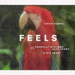 Calvin Harris & Katy Perry & Pharrell Williams - Feels