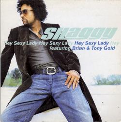 Shaggy - Hey Sexy Lady 