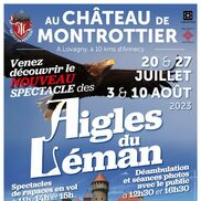 Spectacle de rapaces en vol à Lovagny