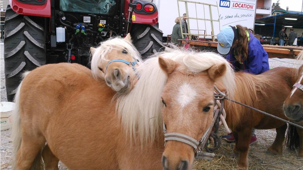 Foire agricole Rumilly