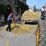 La balouria à Rumilly
