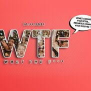Retour de la soirée WTF au Maracaïbo