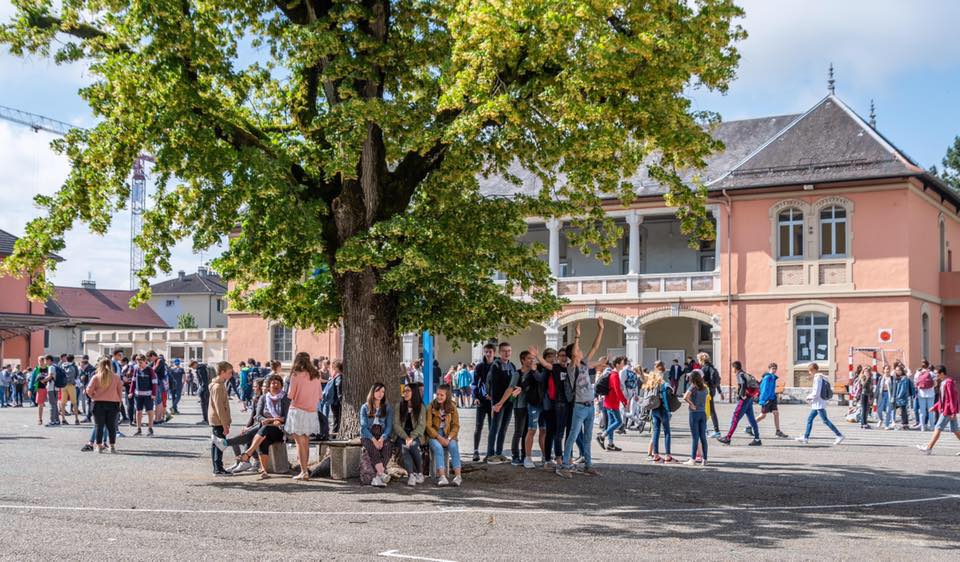 Forum métiers Demotz