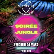 Soirée jungle au Plectrum