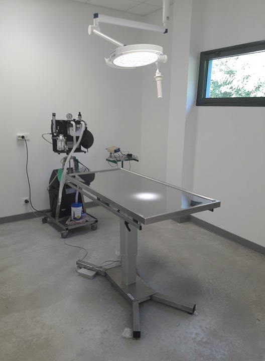 Salle opération vétérinaire