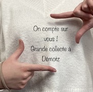 Collecte du Groupe Scolaire Demotz
