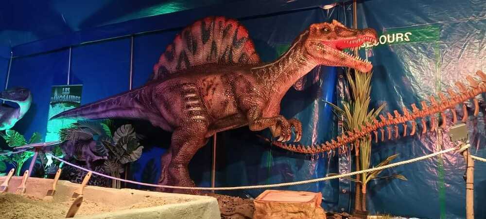 Exposition dinosaures Rumilly