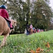 Pony Guinguette à Bloye
