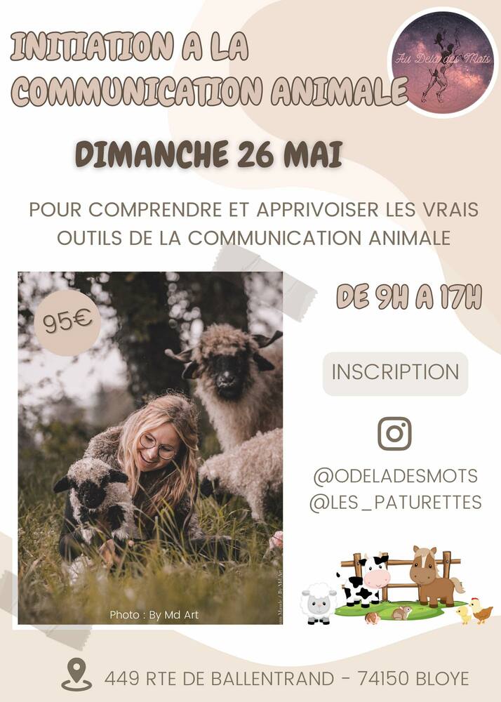 Stage communication animale