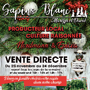 Sapins Blanc – Choisissez votre sapin local à Vallières-sur-Fier
