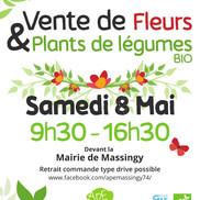 Vente de fleurs, plants et légumes à Massingy