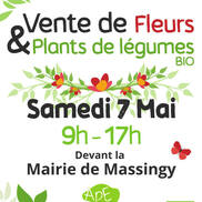 Vente de fleurs et plants de légumes à Massingy