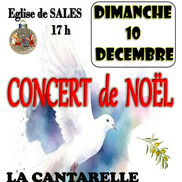 Concert de Noël à Sales