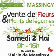 Vente de Fleurs et plants de légumes bio à Massingy