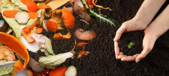 Compost Rumilly