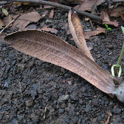 Une conférence tout public à la médiathèque de Rumilly