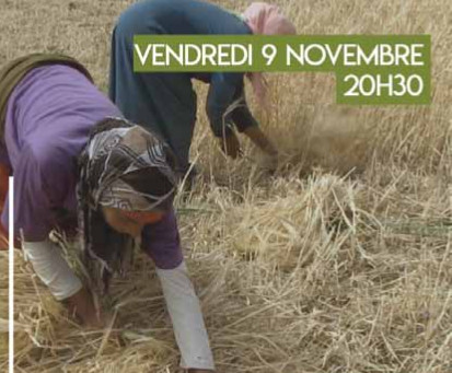 couscous les graines de la dignité